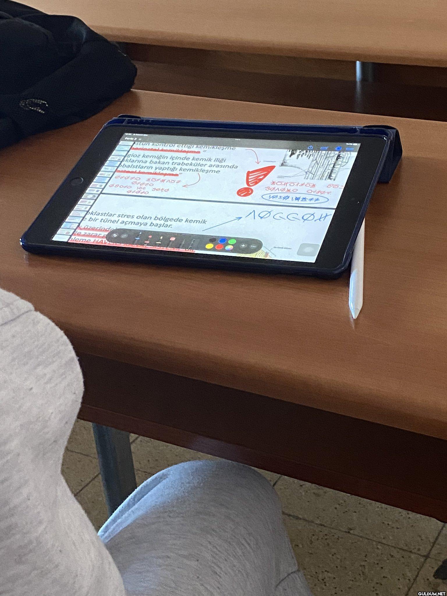notlarını kimse anlamasın...