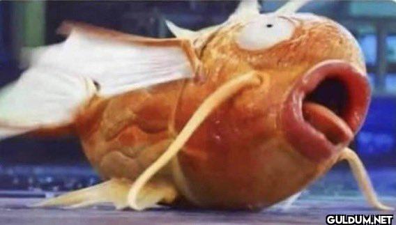 me choking on my own...