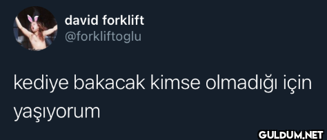 kediye bakacak kimse...