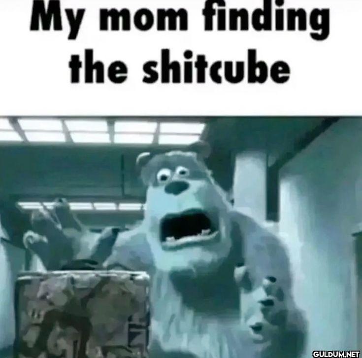 My mom finding the shitcube