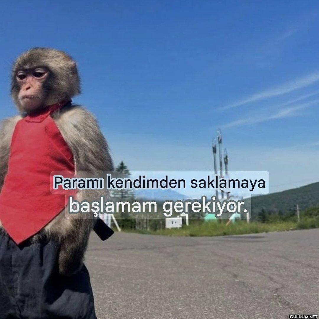 Paramı kendimden saklamaya...