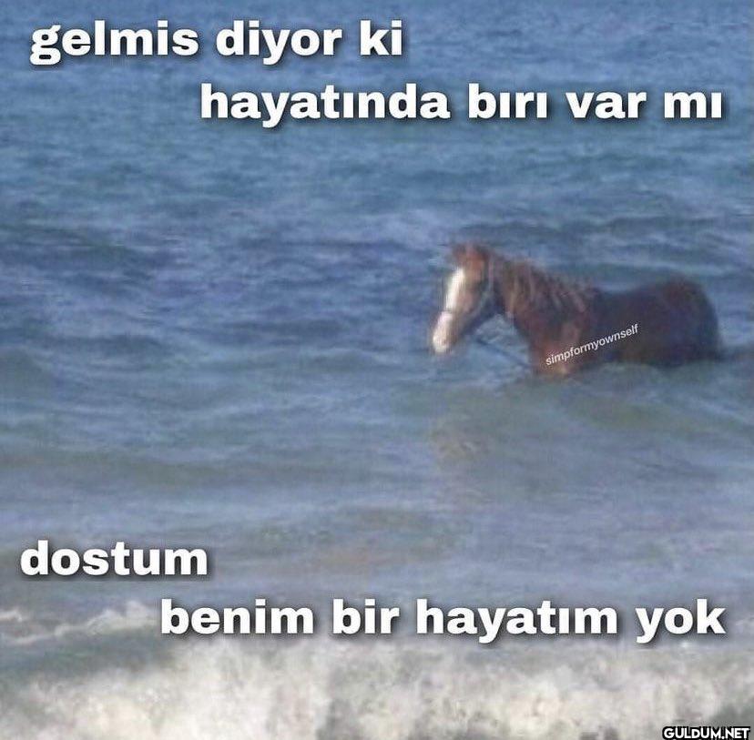 gelmis diyor ki hayatında...
