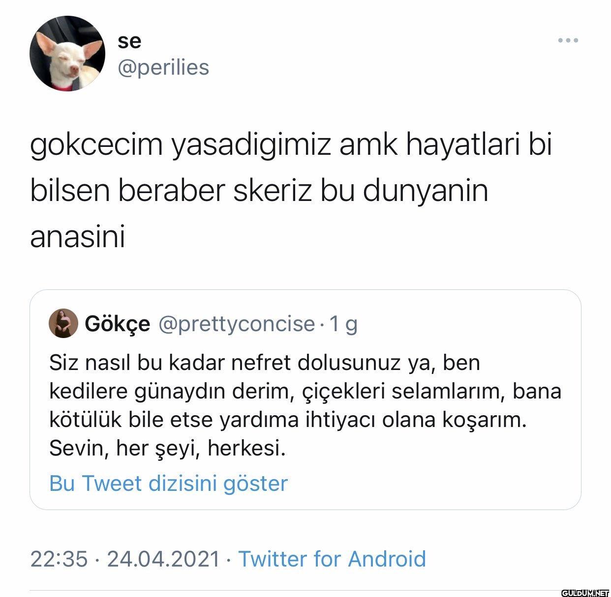 gokcecim yasadigimiz amk...