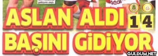 cal ASLAN ALDI 14 BAŞINI GİDİYOR