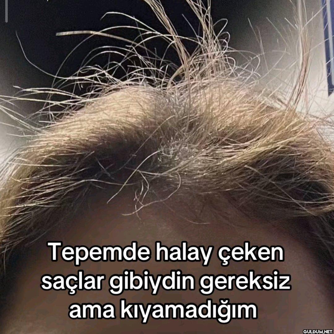 Tepemde halay çeken saçlar...