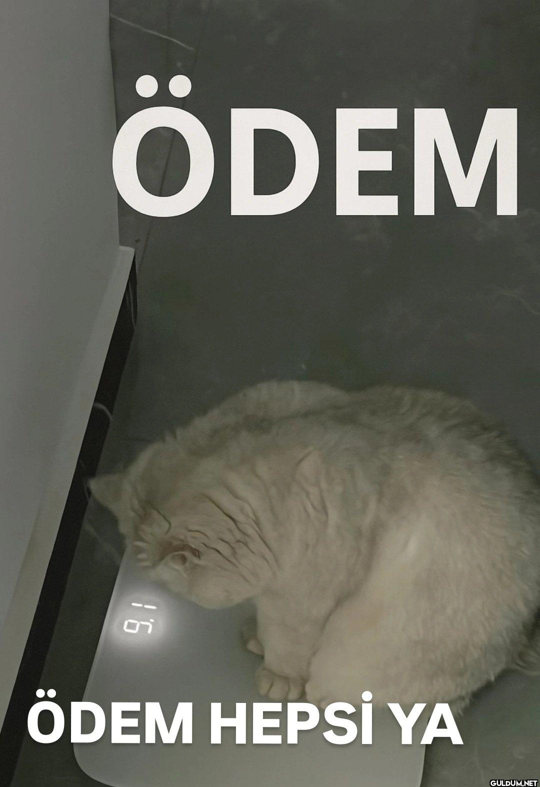 9.1 ÖDEM ÖDEM HEPSİ YA