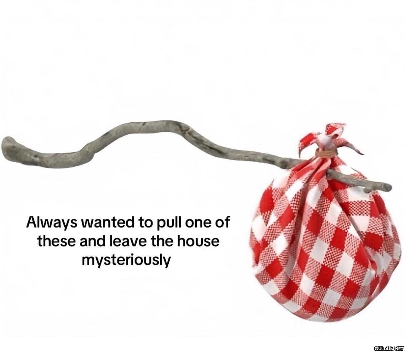 Always wanted to pull one...