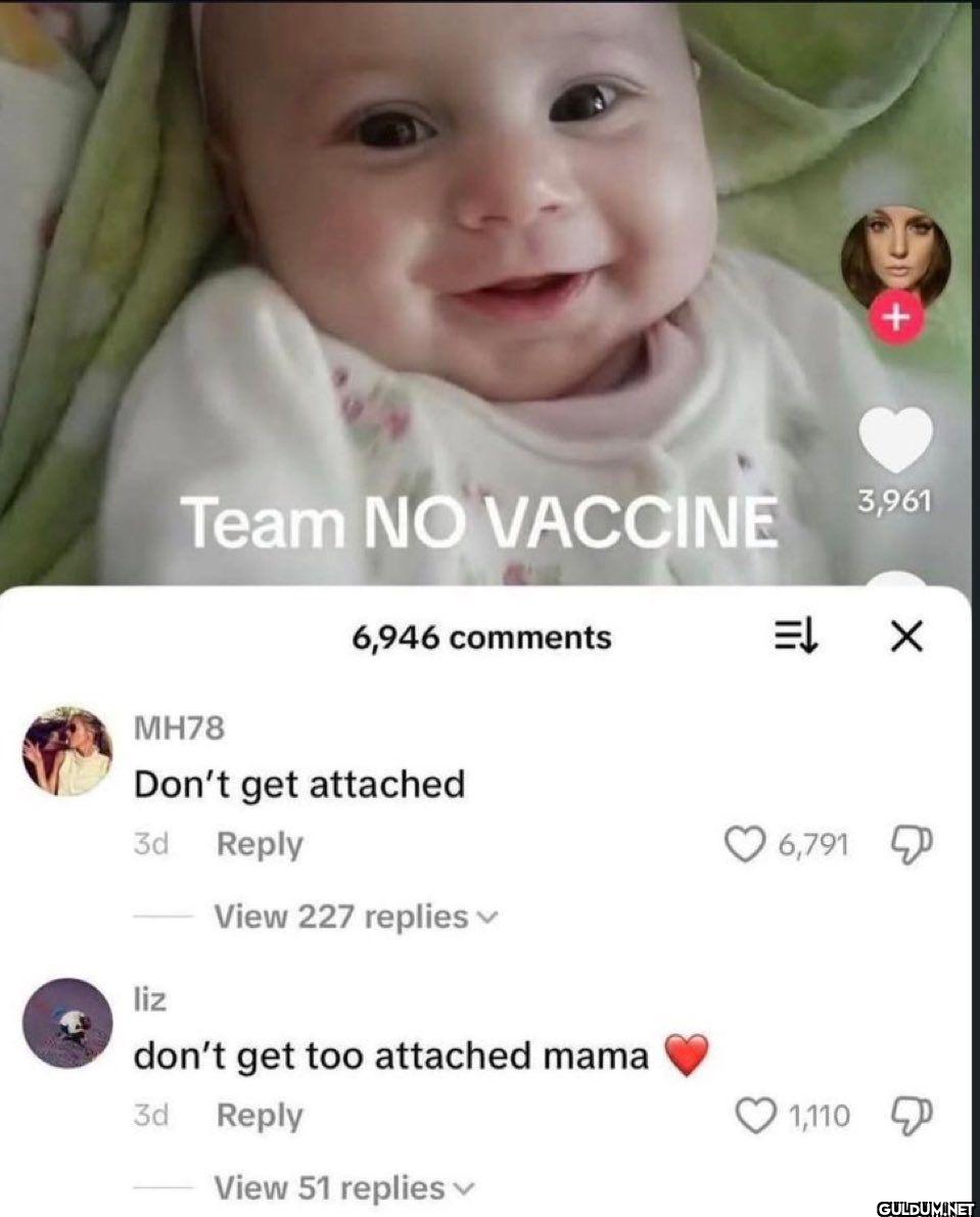 Team NO VACCINE 3,961...