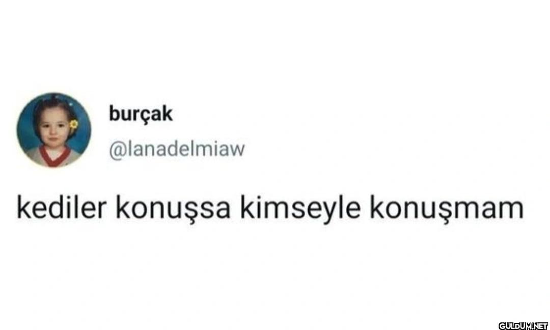 kediler konuşsa kimseyle konuşmam