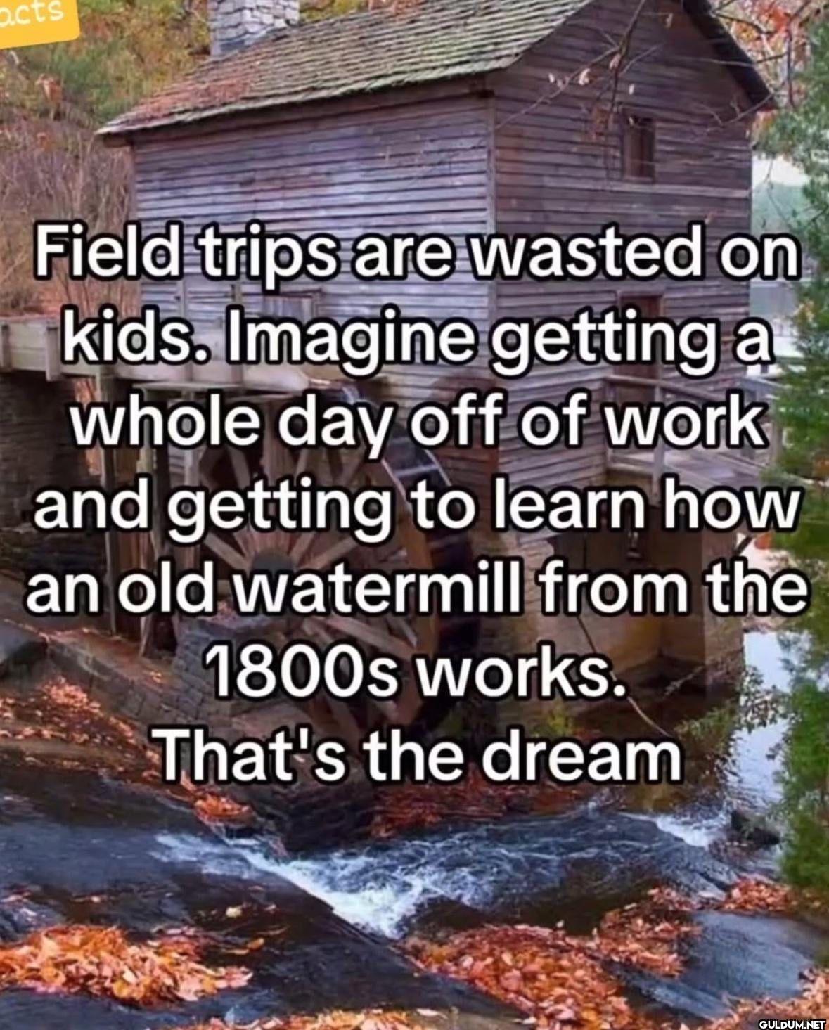 acts Field trips are...