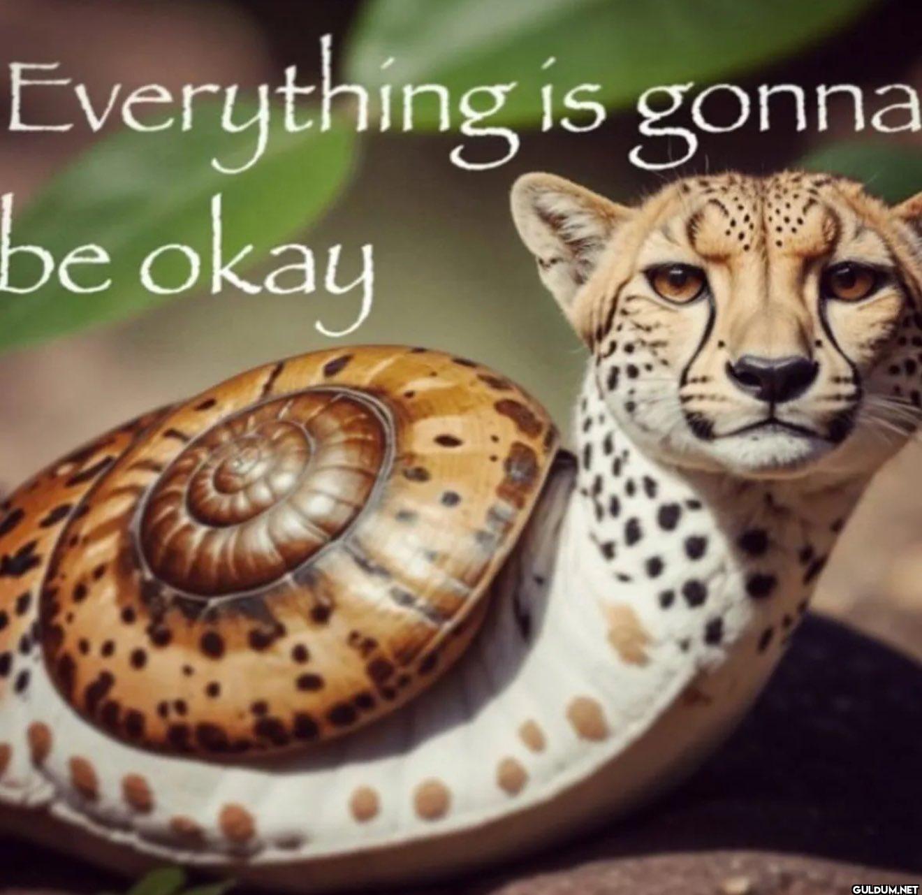 Everything is gonna be okay