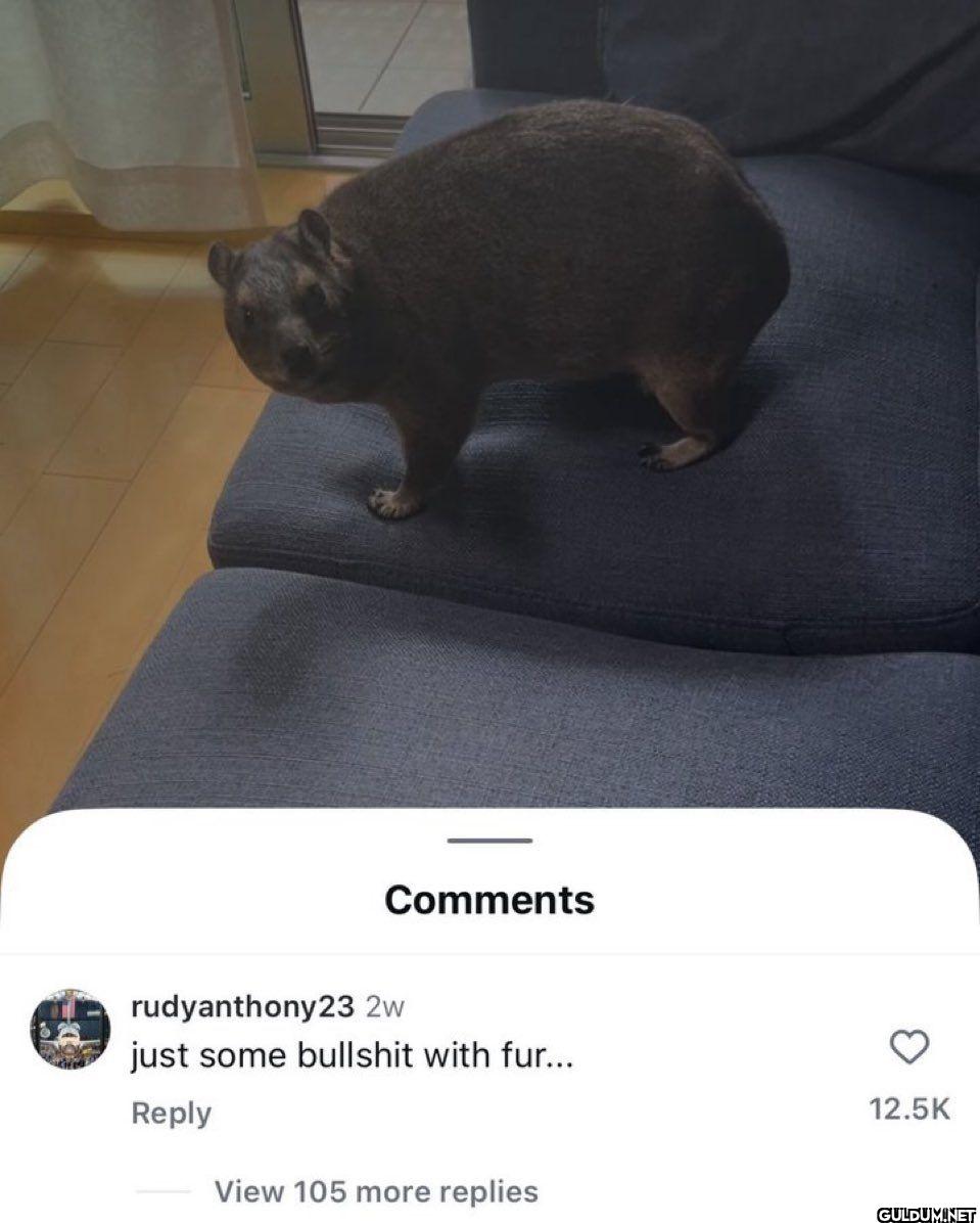 Comments rudyanthony23 2w...