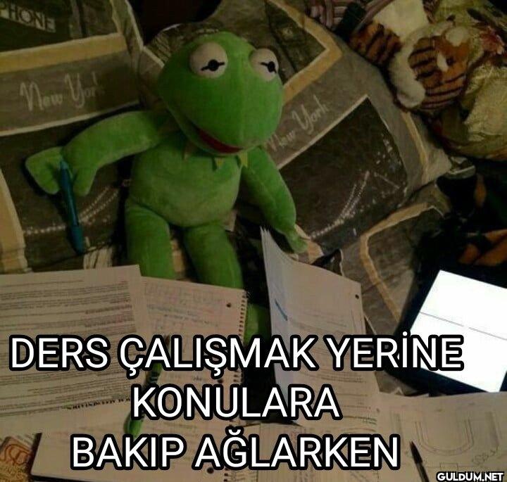 HONE New You DERS ÇALIŞMAK...