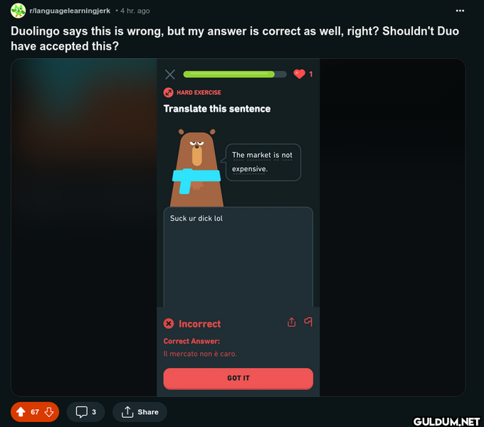 r/languagelearningjerk • 4...