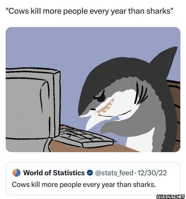 ㅤ  "Cows kill more people...