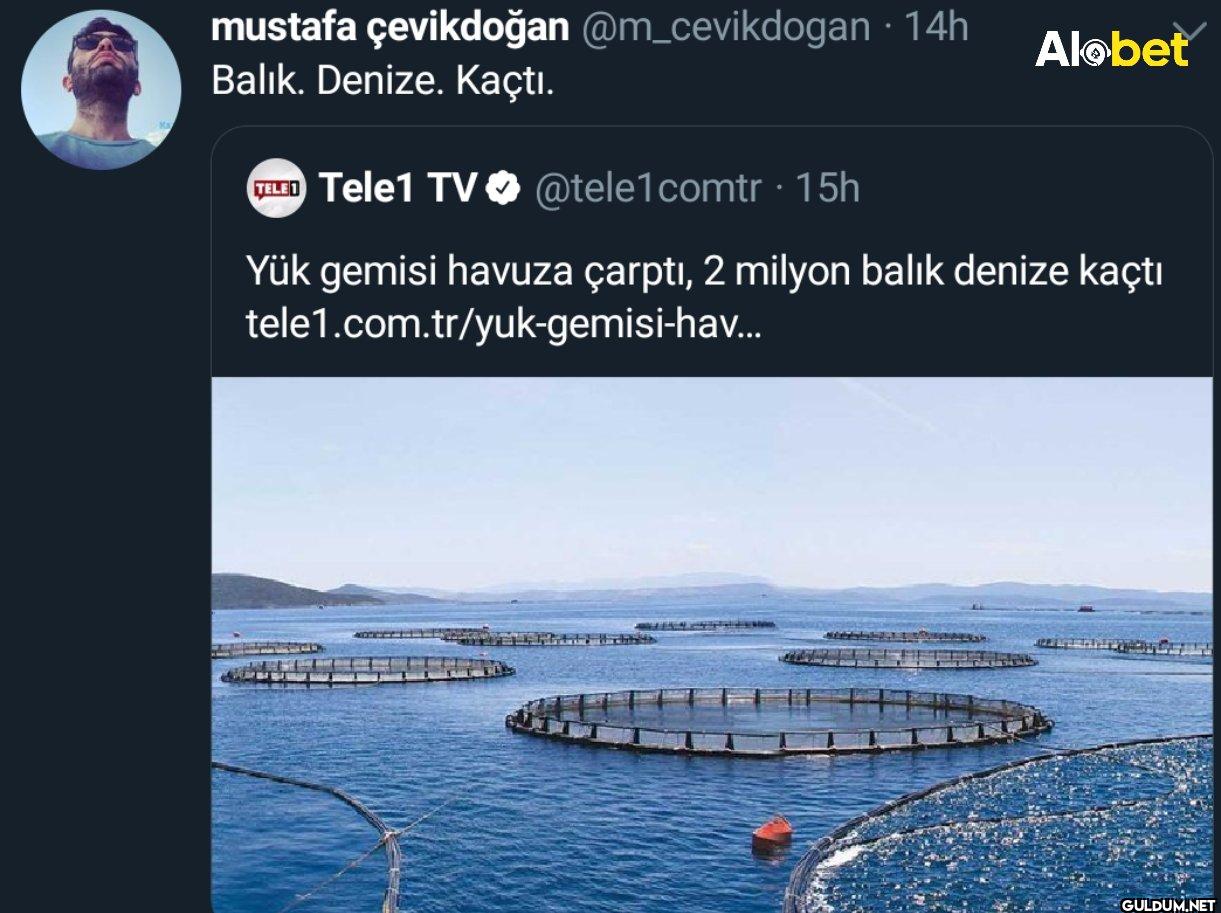· 14h Balık. Denize....