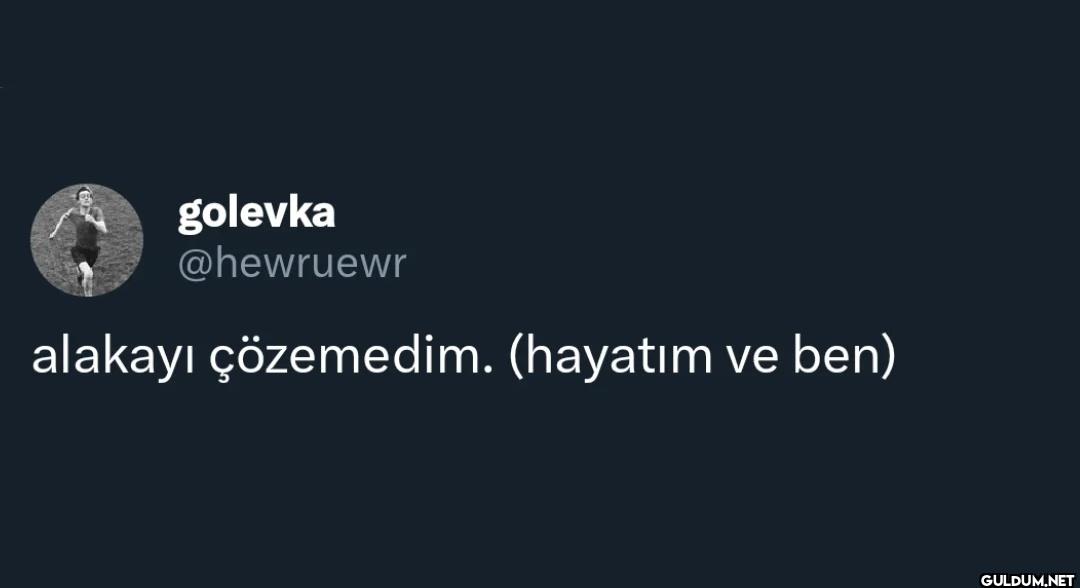 alakayı çözemedim. (hayatım ve ben)