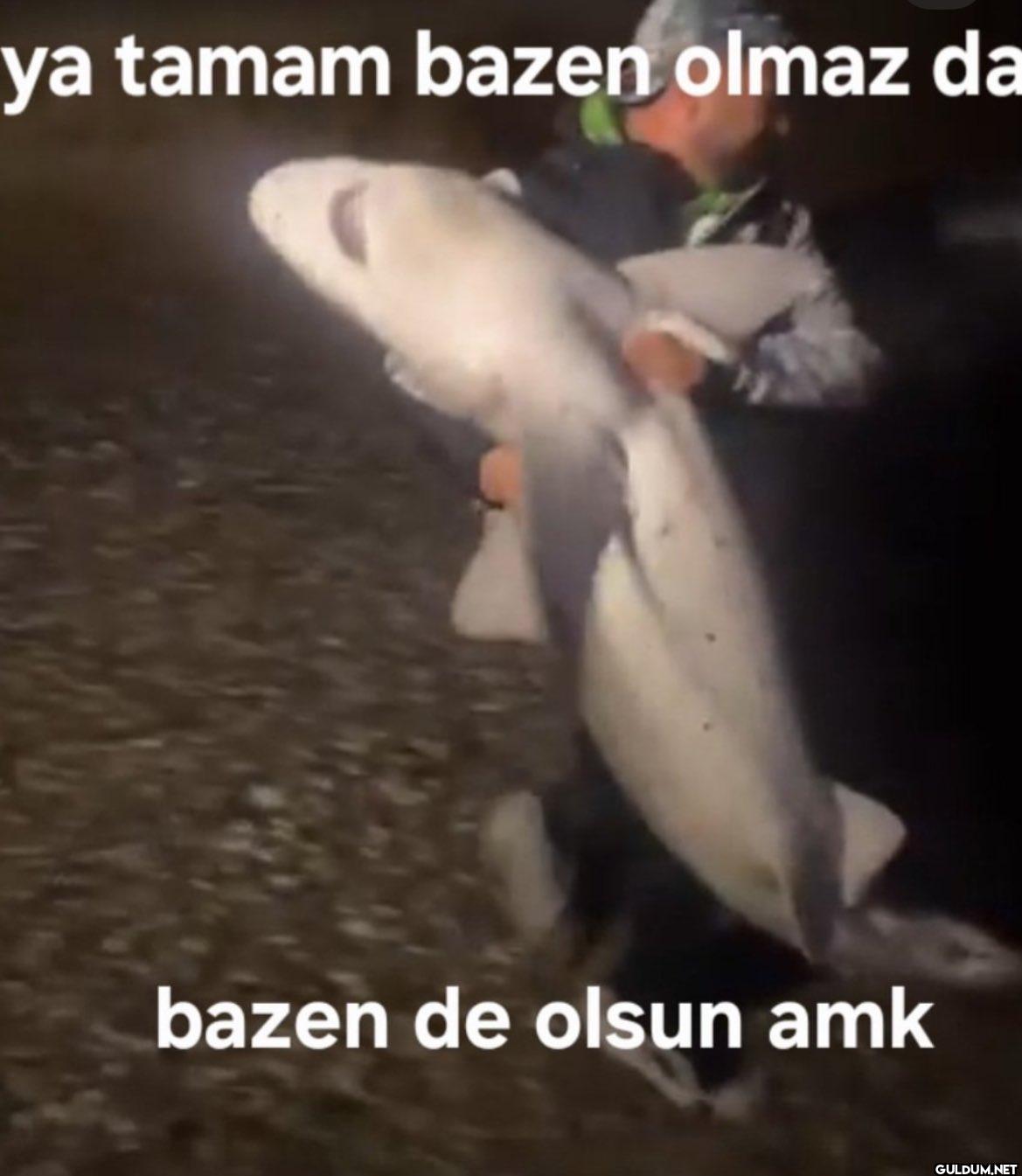 ya tamam bazen olmaz da...