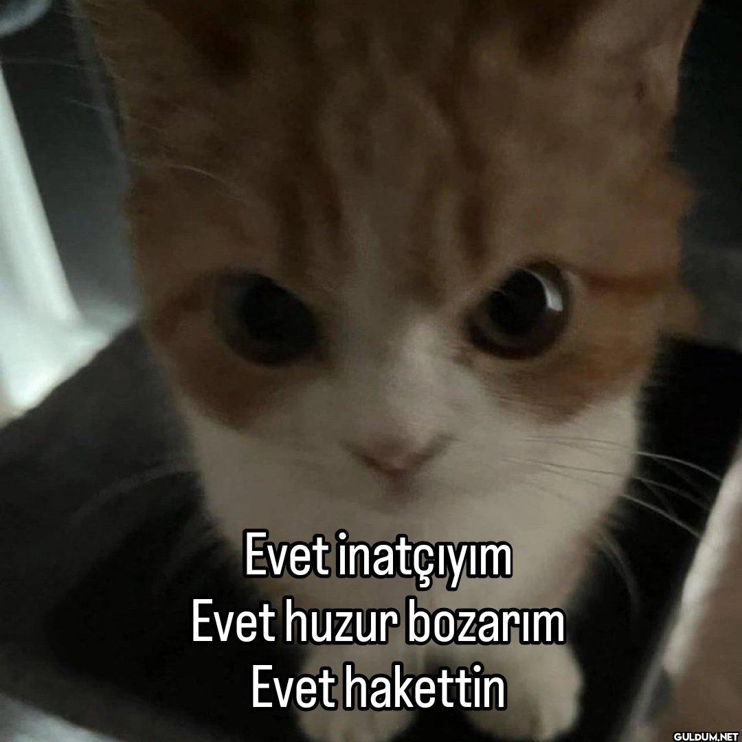 Evet inatçıyım Evet huzur...