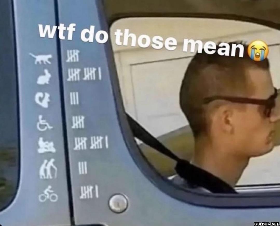 wtf do those mean 馬 著