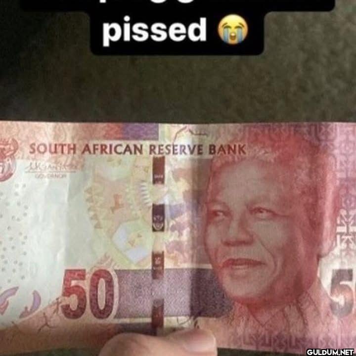 pissed SOUTH AFRICAN...