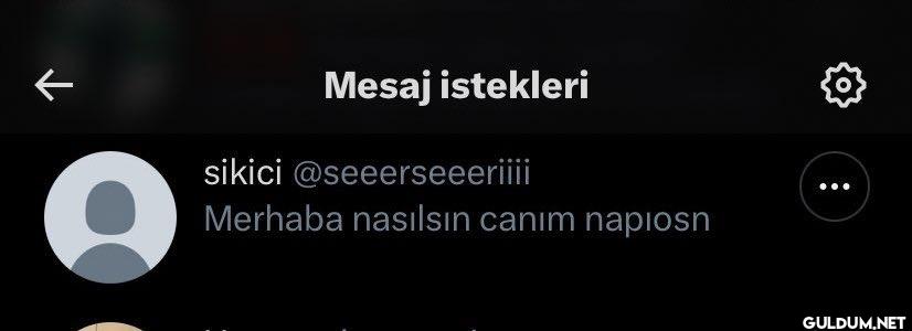 Merhaba nasılsın canım napiosn