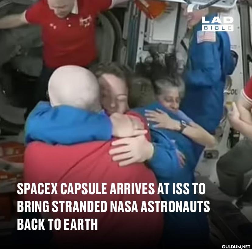 👇    LAD BIBLE SPACEX...