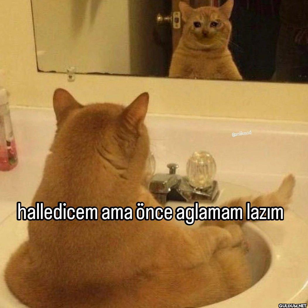 Banlikmod halledicem ama...