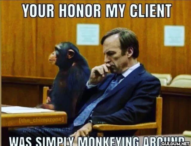 YOUR HONOR MY CLIENT WAS...