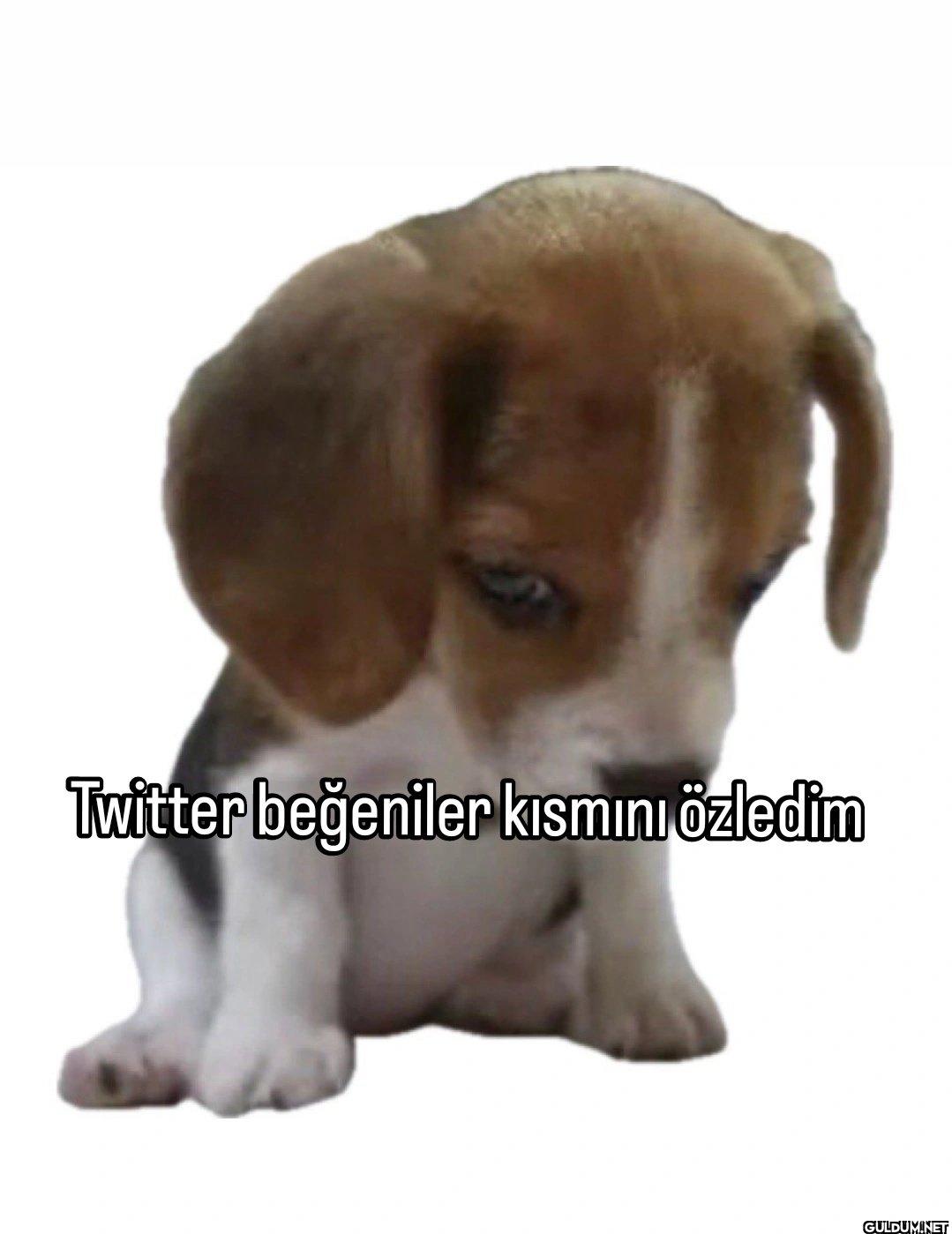 Twitter beğeniler kısmını özledim