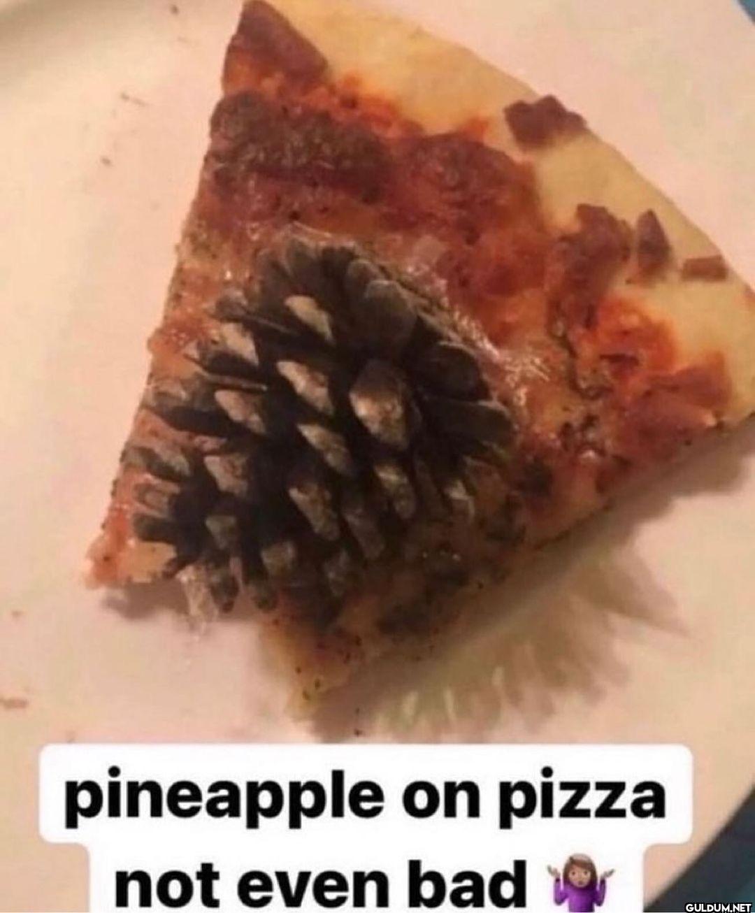 pineapple on pizza not even bad to
