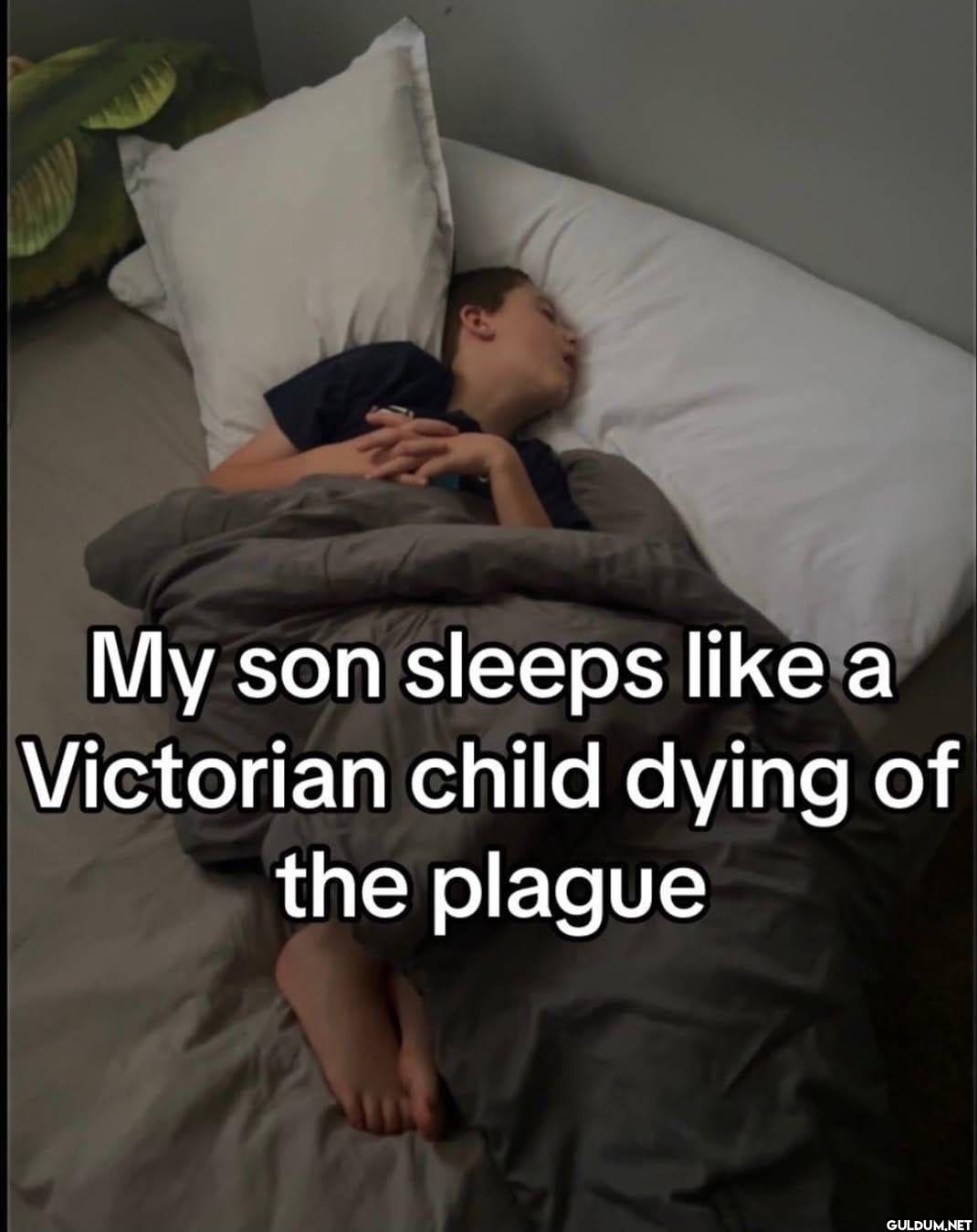 My son sleeps like a...