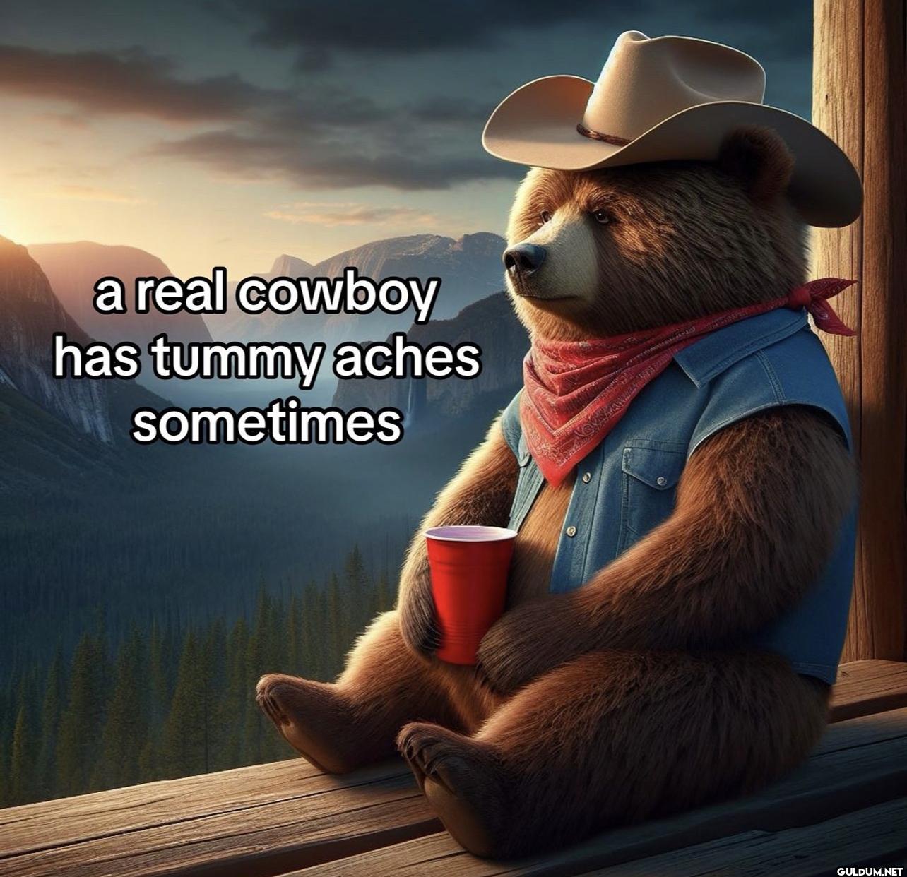 a real cowboy has tummy...
