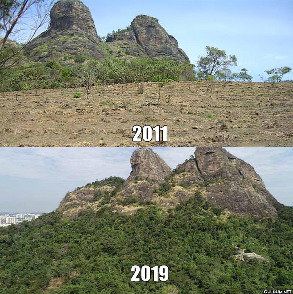 2011 vs 2019    2011 2019