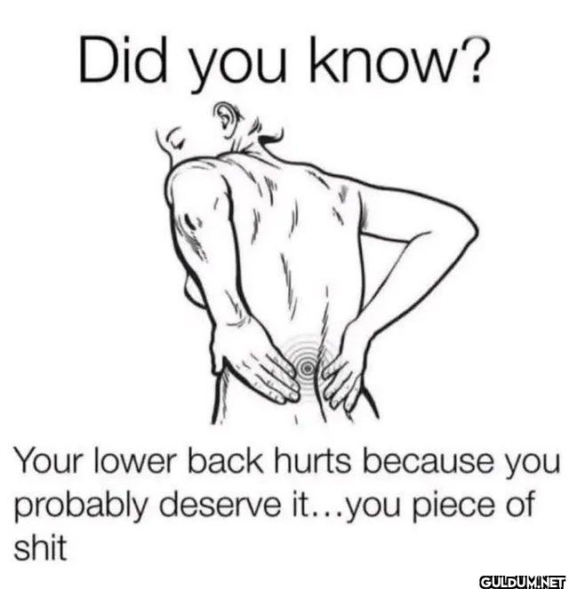 Did you know? Your lower...
