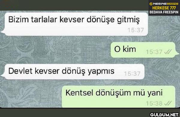 Bizim tarlalar kevser...