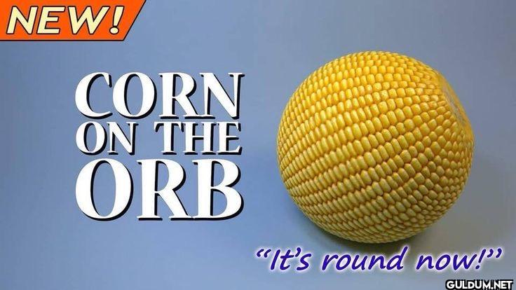 NEW! CORN ON THE ORB "It's...