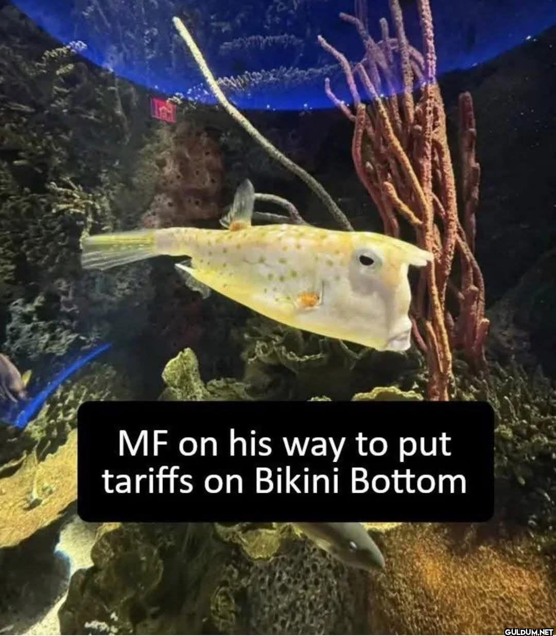 MF on his way to put...