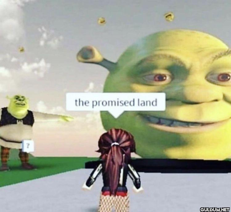 the promised land ?