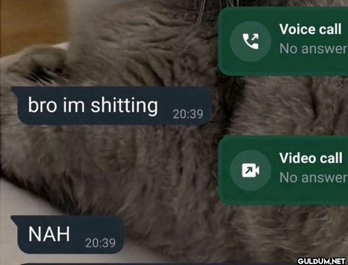 Voice call No answer bro...