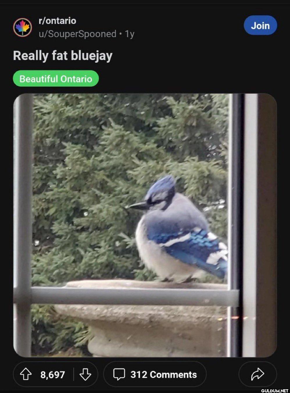 r/ontario B...