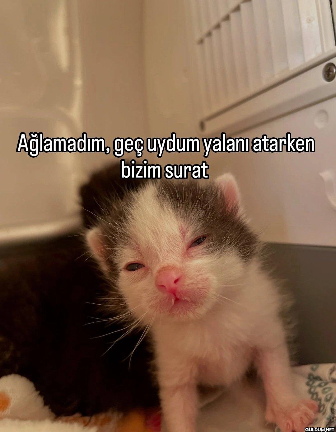 Ağlamadım, geç uydum...