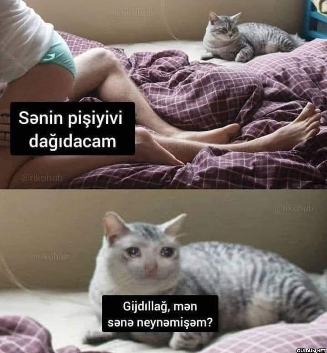 mrikohub Gijdillağ, mən...