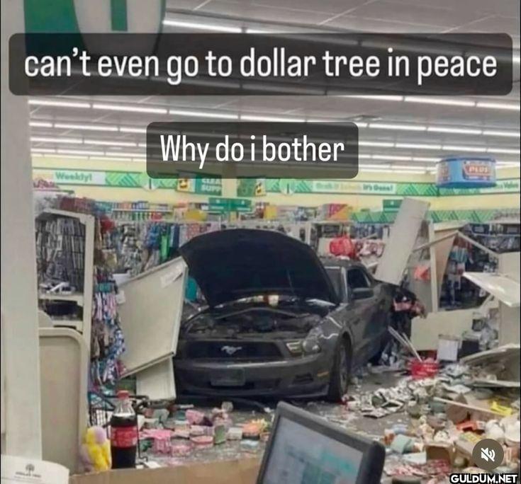 can't even go to dollar...