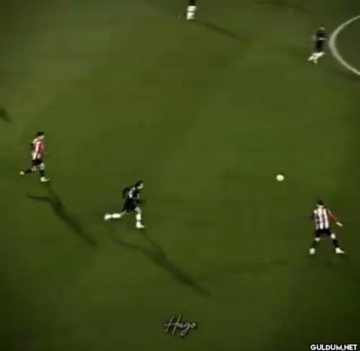sevincinizi ve coşkunuzu...