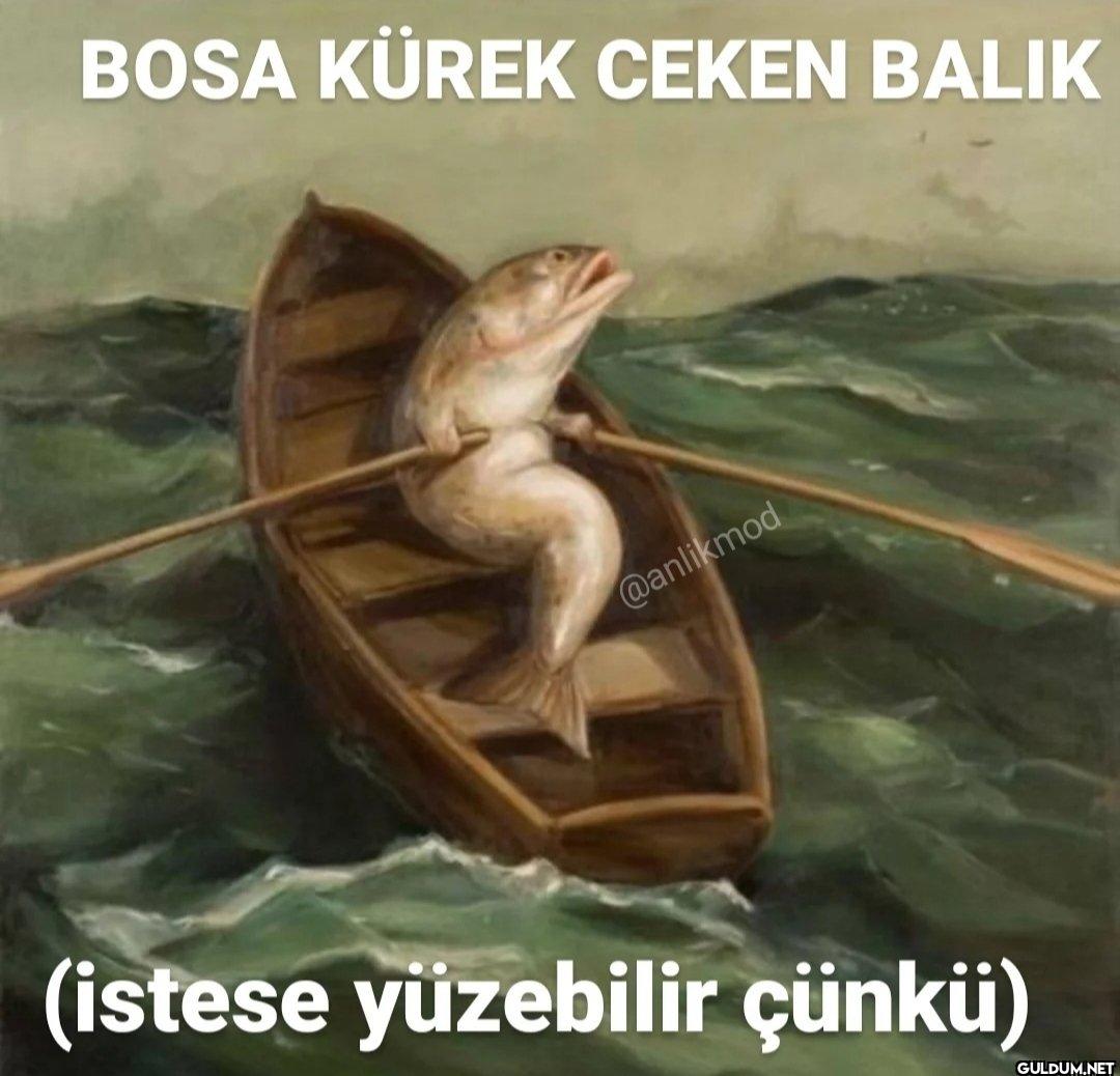(istese yüzebilir çünkü)
