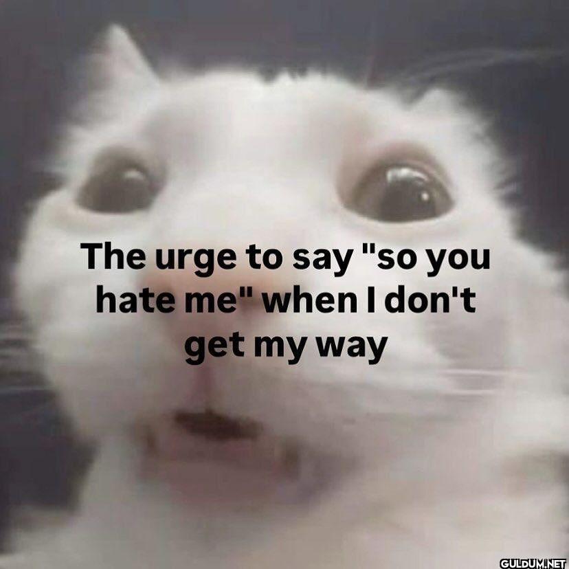 The urge to say "so you...