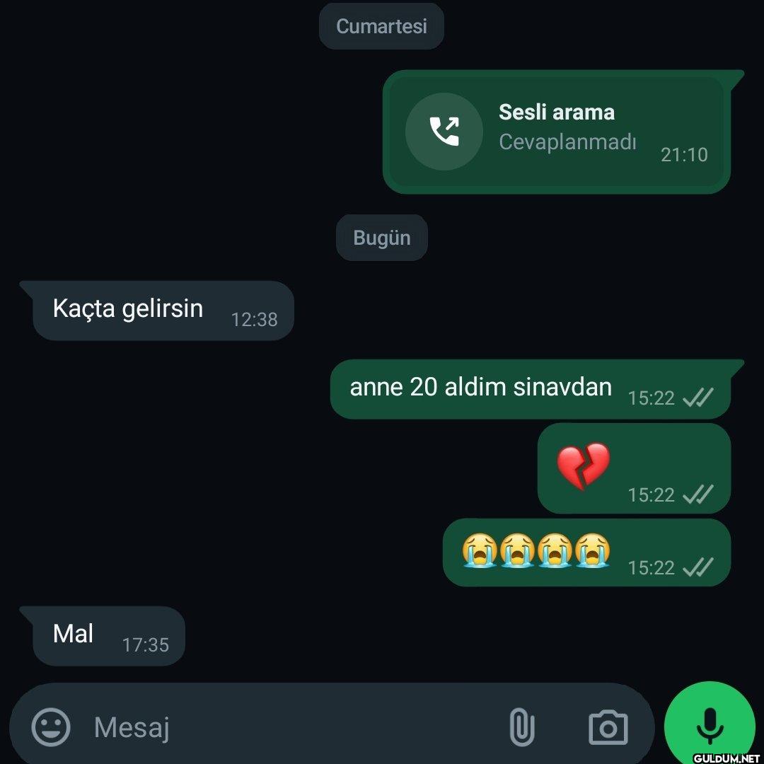 Cumartesi Sesli arama...