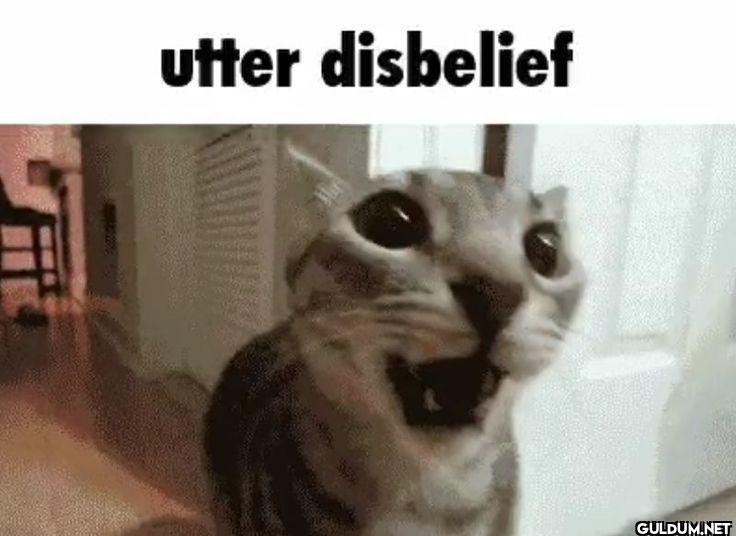 utter disbelief