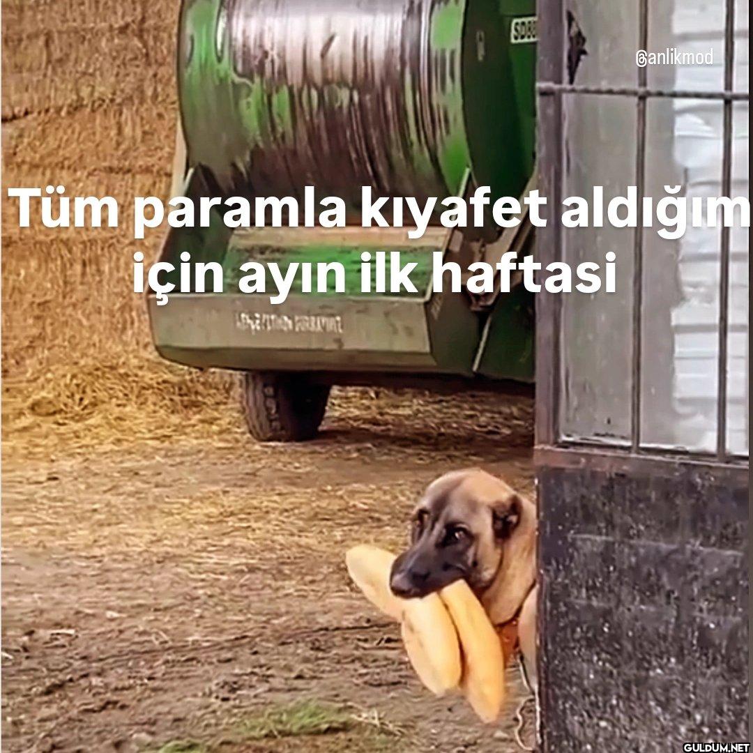 SDB Banlikmod Tüm paramla...